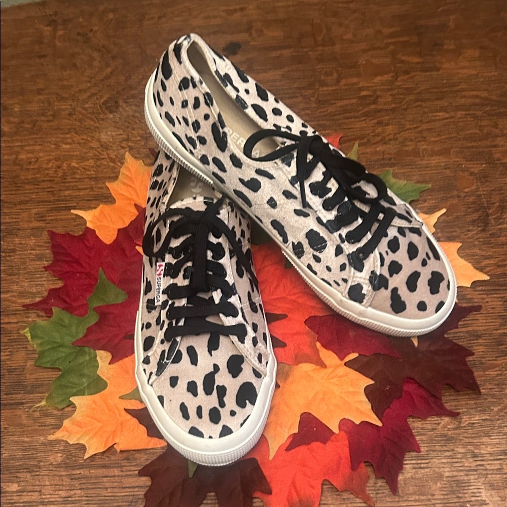 Superga  Velvet Classic Lace Up Sneakers in Dalmatian